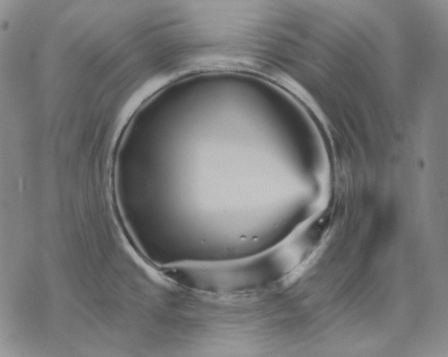 X0000074221437200609151610