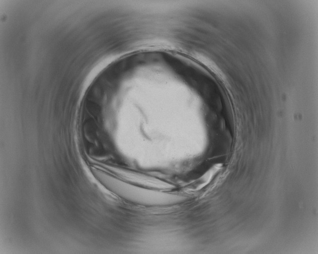 X0000074221440200609151610