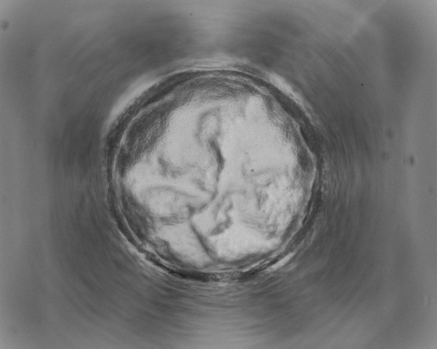 X0000074221456200609151609