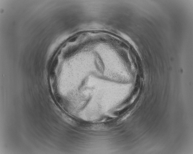 X0000074221464200609151609