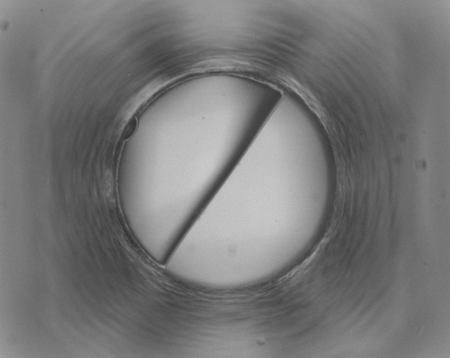 X0000074221465200609151609