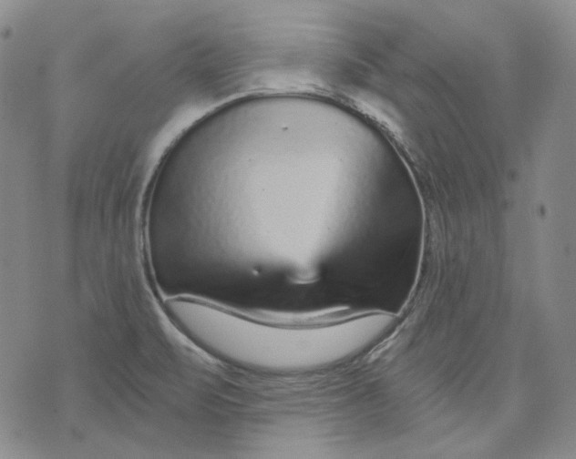 X0000074221471200609151609