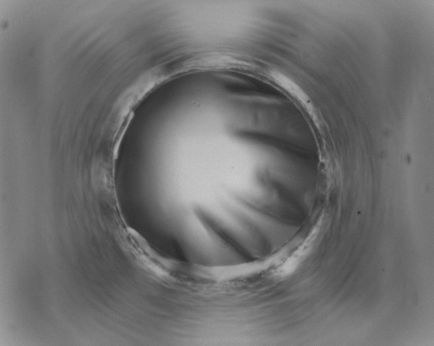 X0000074221481200609151609