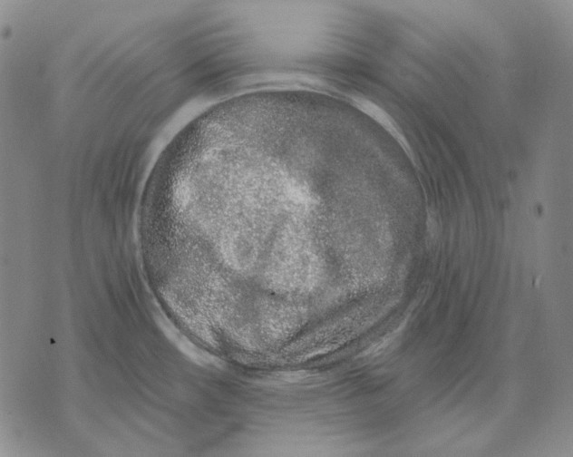X0000074221482200609151609