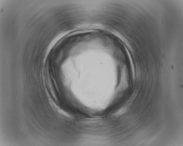 X0000074221486200609151609