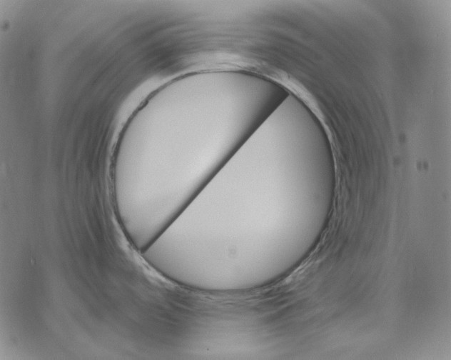 X0000074221488200609151609