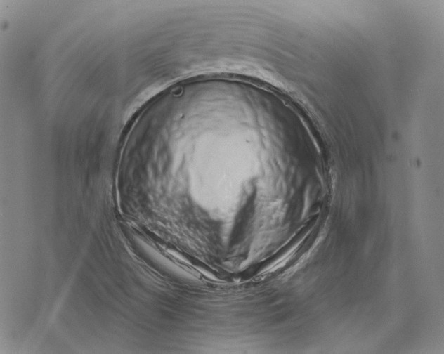 X0000074221505200609151608