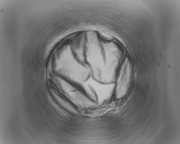 X0000074221507200609151608