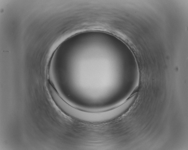 X0000074221520200609151608