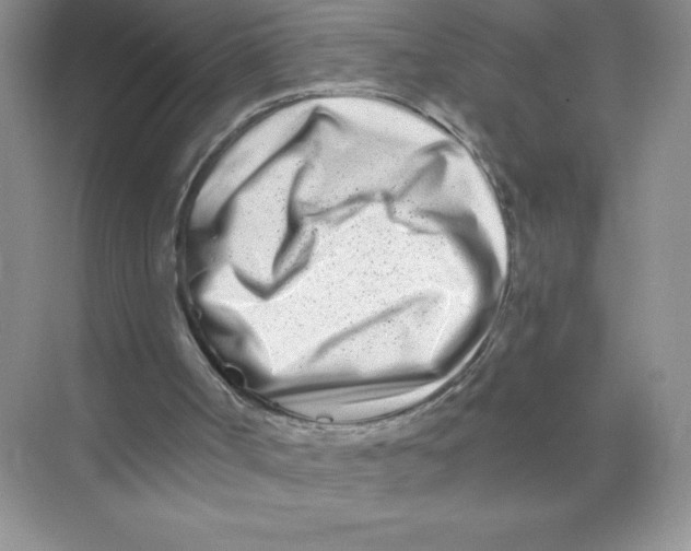 X0000074220002200609222019