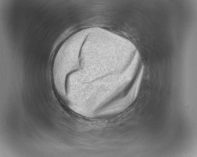 X0000074220004200609222019