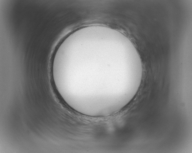 X0000074220006200609222019
