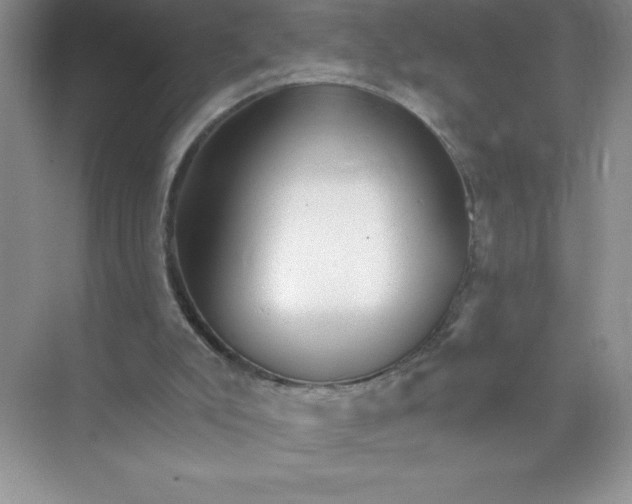 X0000074220007200609222019