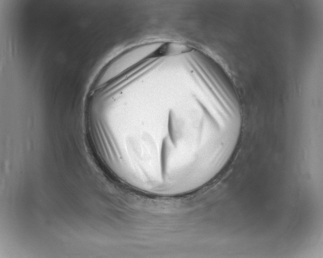 X0000074220008200609222019