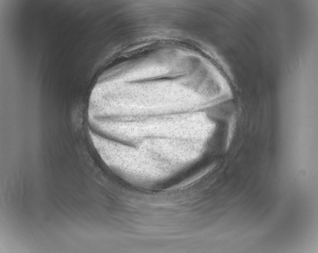 X0000074220010200609222019