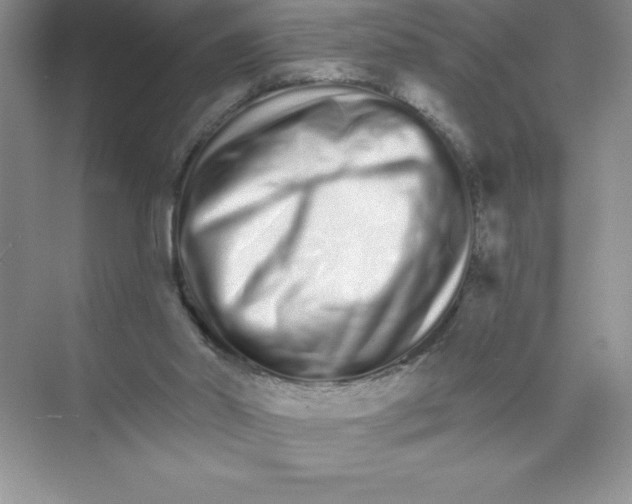 X0000074220014200609222019