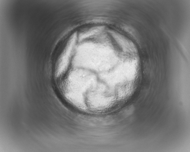 X0000074220016200609222019