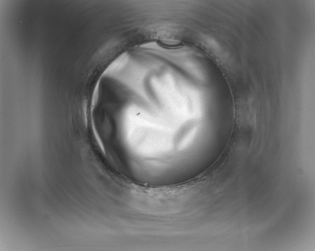 X0000074220022200609222019
