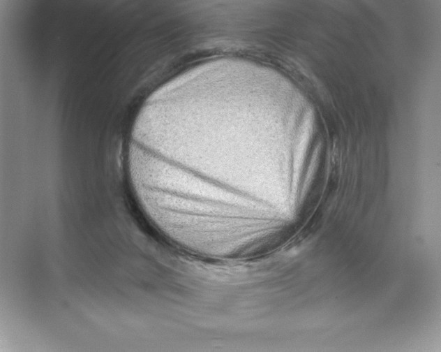 X0000074220024200609222019