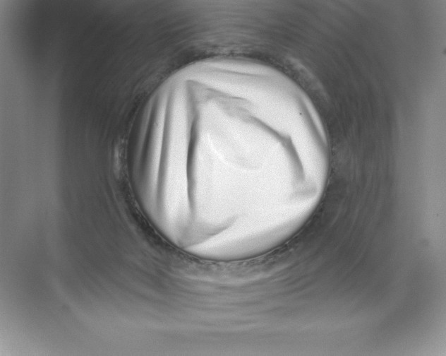X0000074220026200609222019