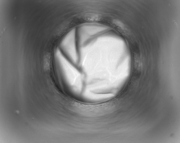 X0000074220030200609222019