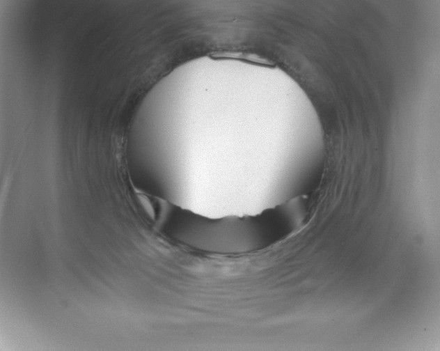 X0000074220033200609222019