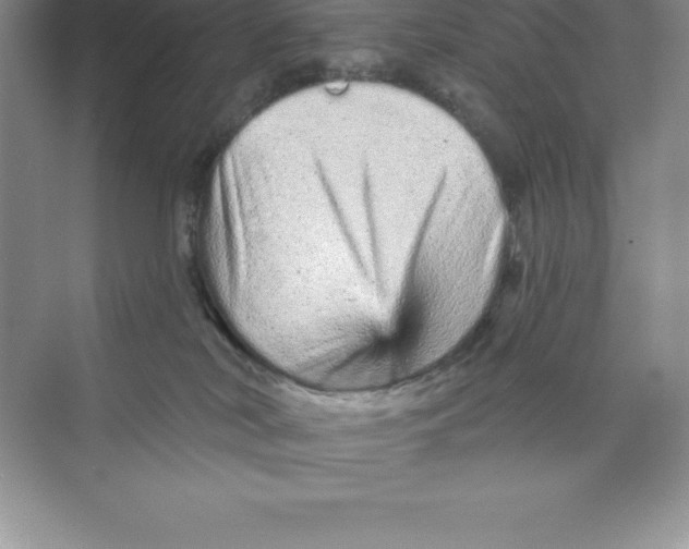 X0000074220038200609222019
