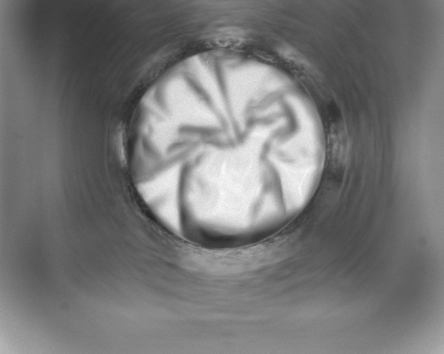 X0000074220042200609222019