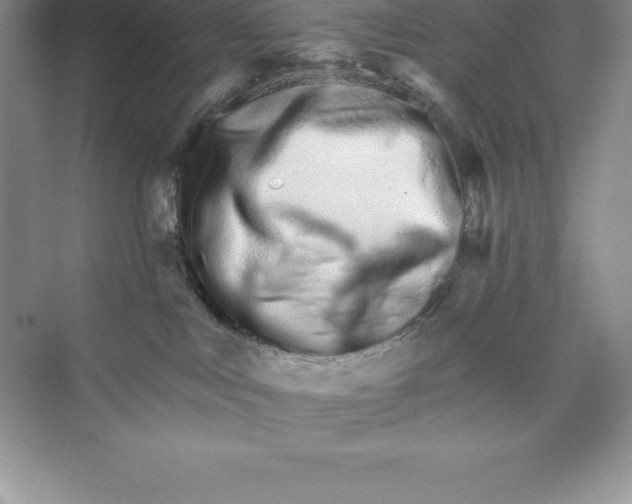 X0000074220043200609222019