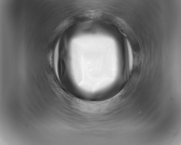 X0000074220047200609222018