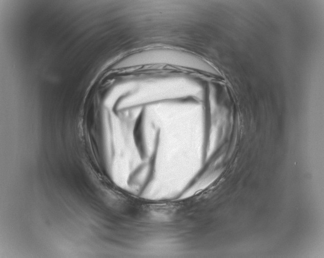 X0000074220050200609222018