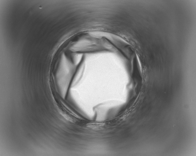 X0000074220051200609222018