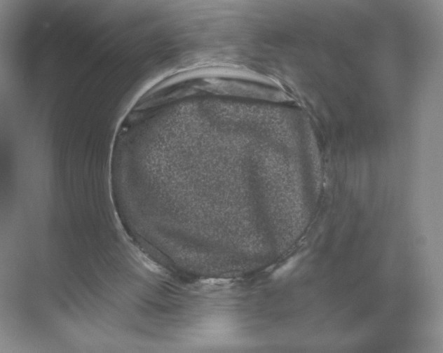 X0000074220052200609222018