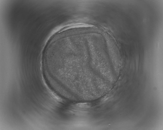X0000074220054200609222018