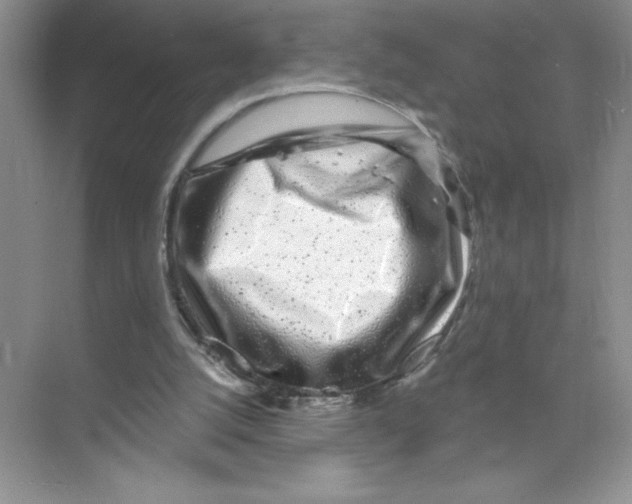 X0000074220056200609222018