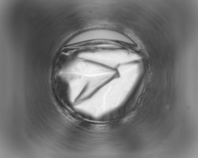 X0000074220058200609222018