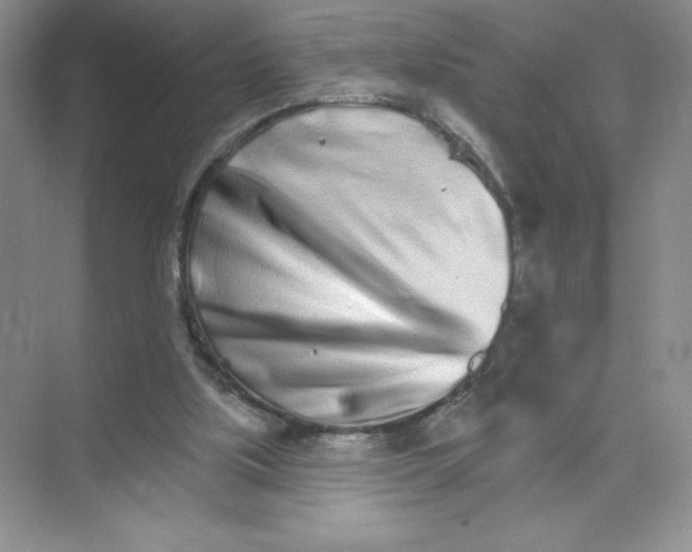 X0000074220059200609222018