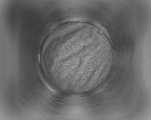 X0000074220061200609222018