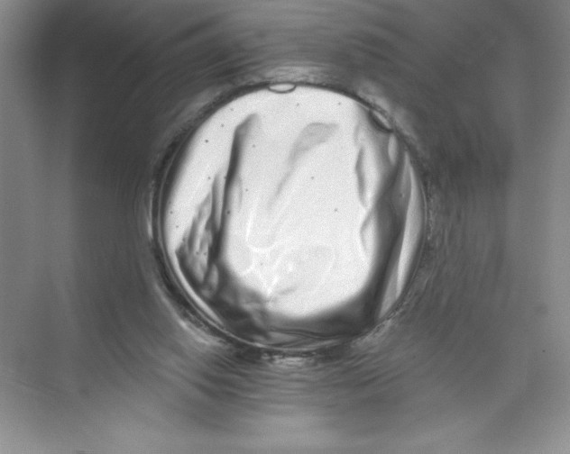 X0000074220062200609222018