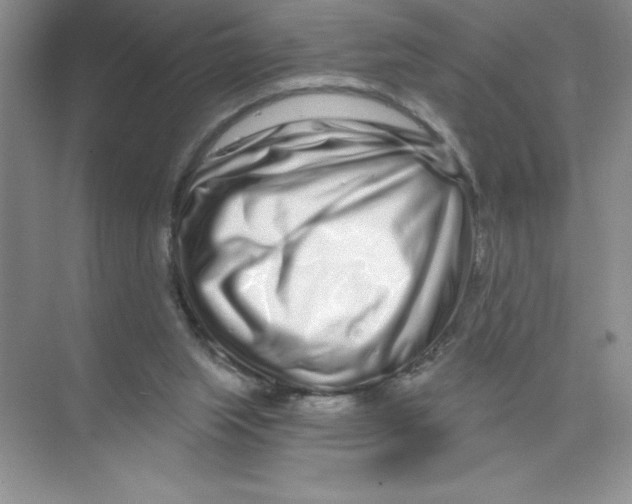 X0000074220063200609222018