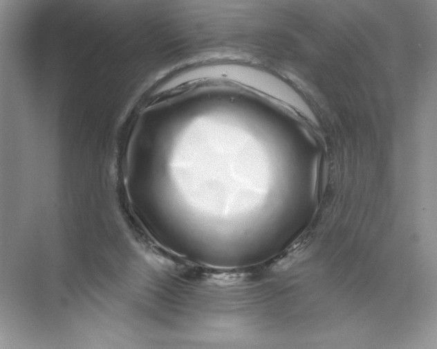 X0000074220064200609222018