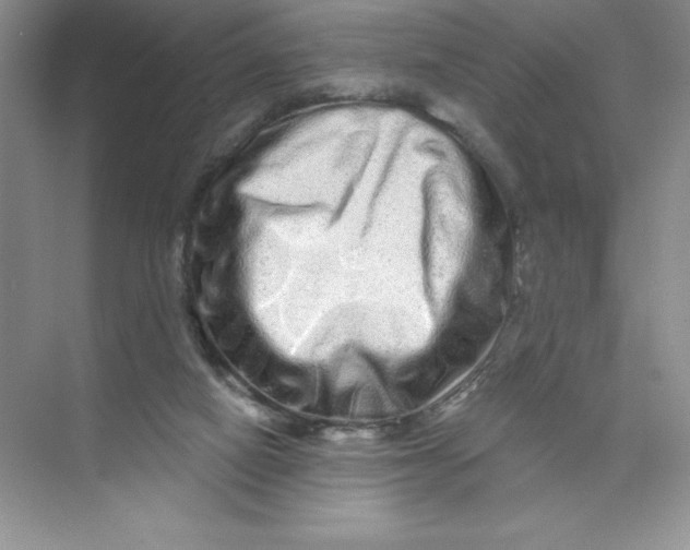 X0000074220066200609222018