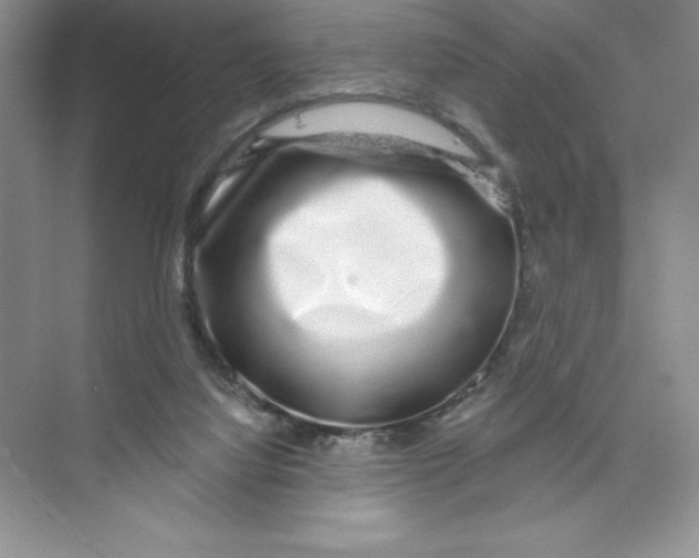 X0000074220068200609222018