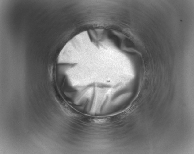 X0000074220070200609222018
