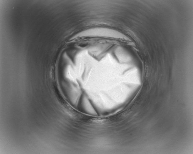 X0000074220071200609222018