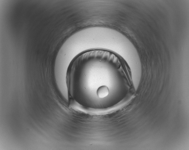 X0000074220072200609222018