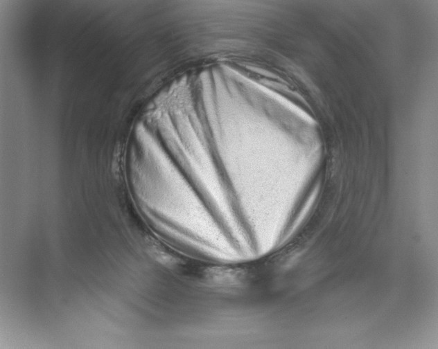 X0000074220073200609222018