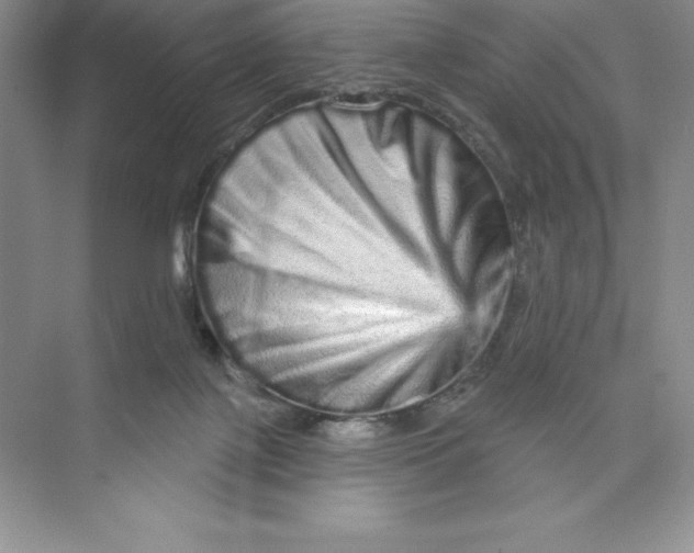 X0000074220075200609222018