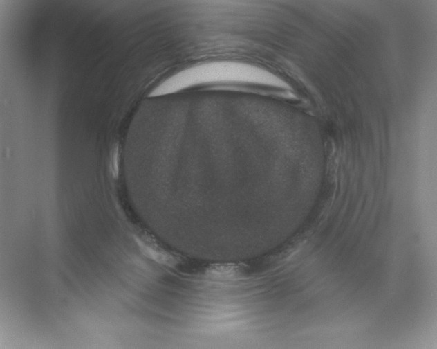 X0000074220076200609222018