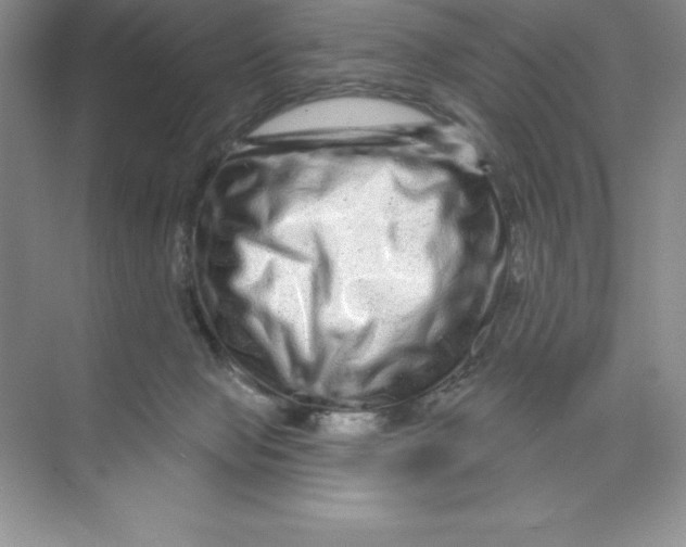 X0000074220077200609222018